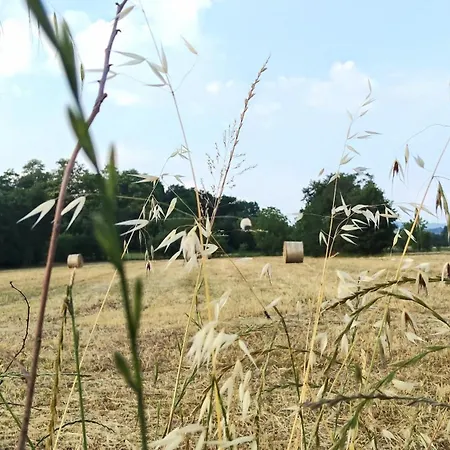 La Casa Fiorita Gospodarstwo agroturystyczne *